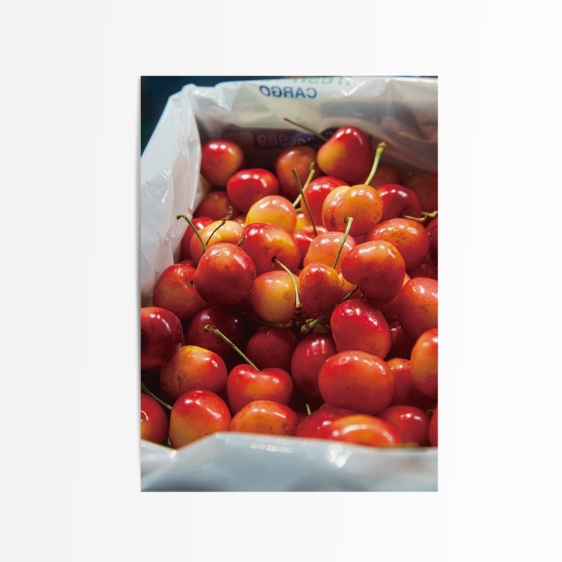 [postcard] cherry